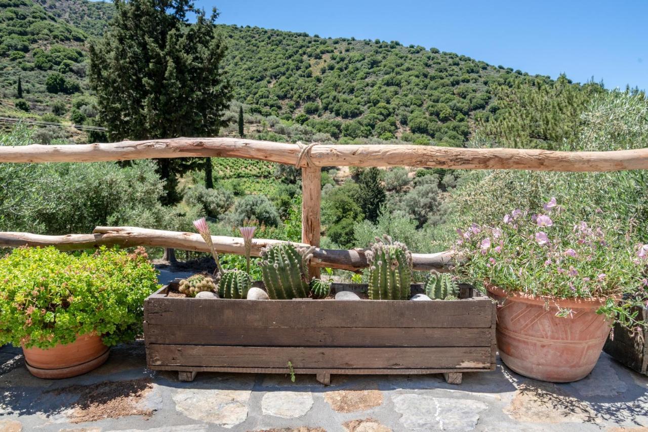 Cretan Nature Villa Alexandra Zarós Zewnętrze zdjęcie
